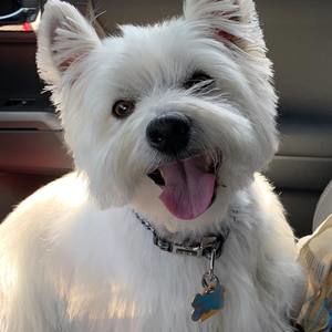 Meet your Posher, Kd